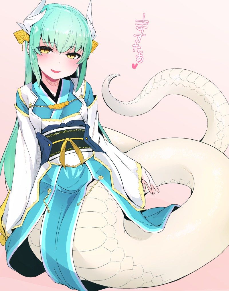 [48 pictures] Fate Kiyohime erotic pictures! 2