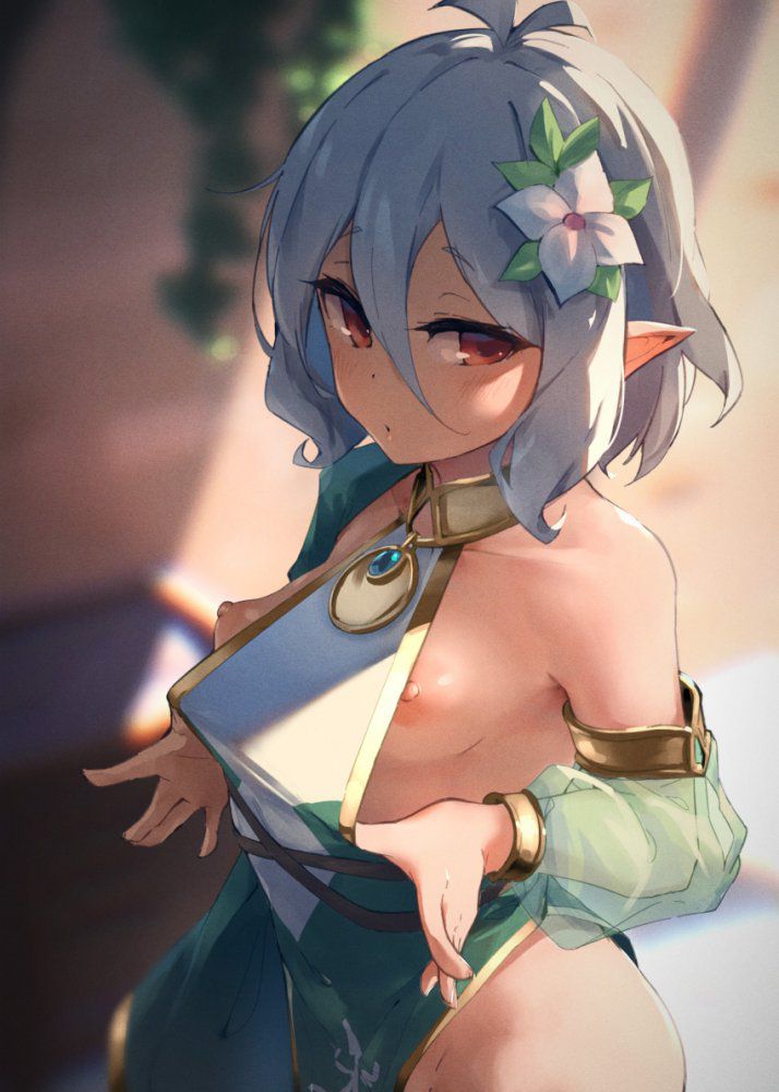 【Secondary】Silver-haired, white-haired girl image【Elo】 Part 6 27