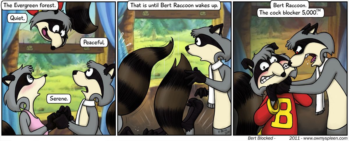 The Raccoons (RYC) 32