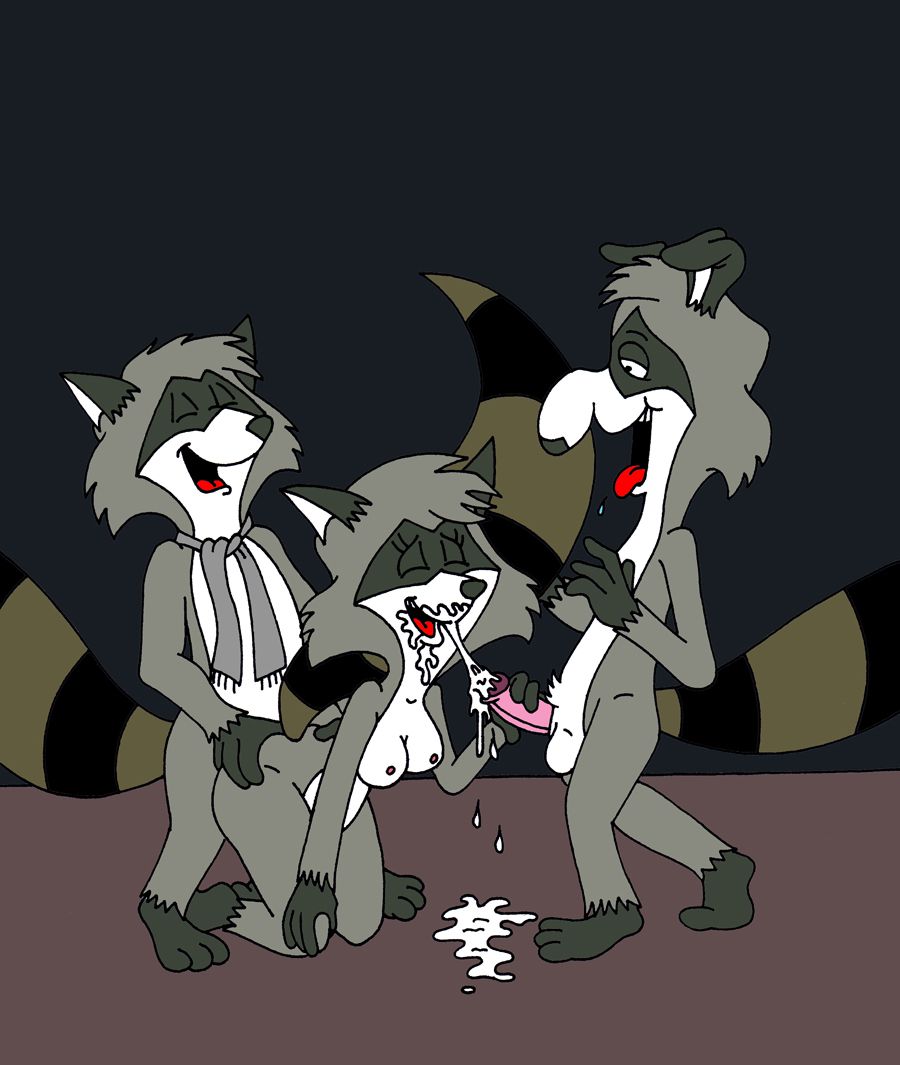 The Raccoons (RYC) 53