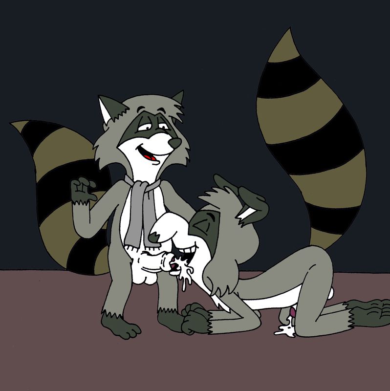 The Raccoons (RYC) 58