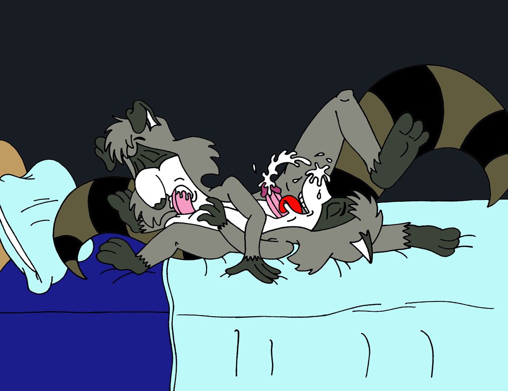 The Raccoons (RYC) 7