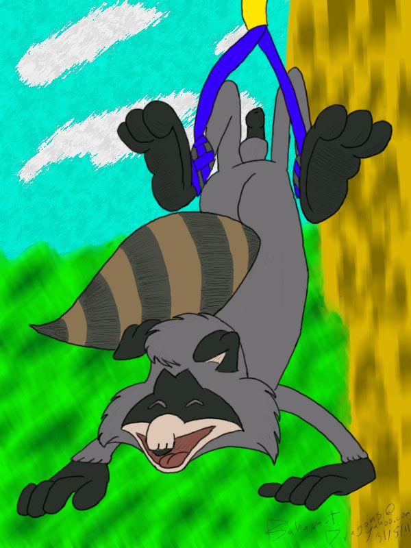 The Raccoons (RYC) 8