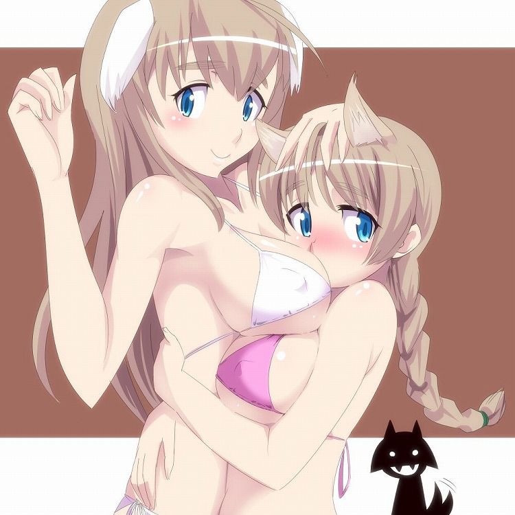 [Strike Witches] of I upload erotic pictures part 1 14