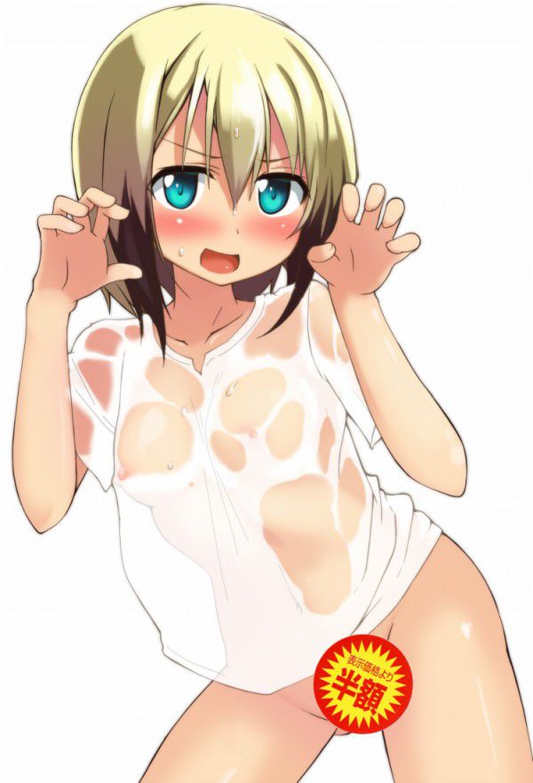 [Stepan] 100 [strike Witches] Erica secondary erotic pictures 43
