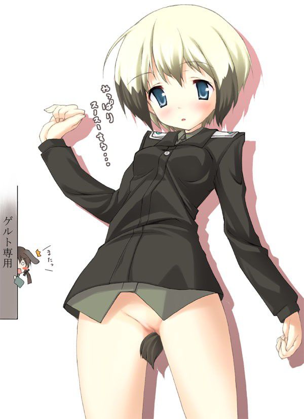 [Stepan] 100 [strike Witches] Erica secondary erotic pictures 97