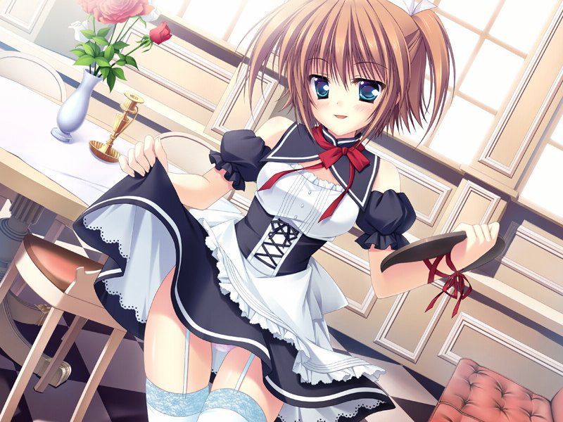 [Made] orders naughty flattering like me so gentle maid, two-dimensional image pyrt.10(49 photos) 18