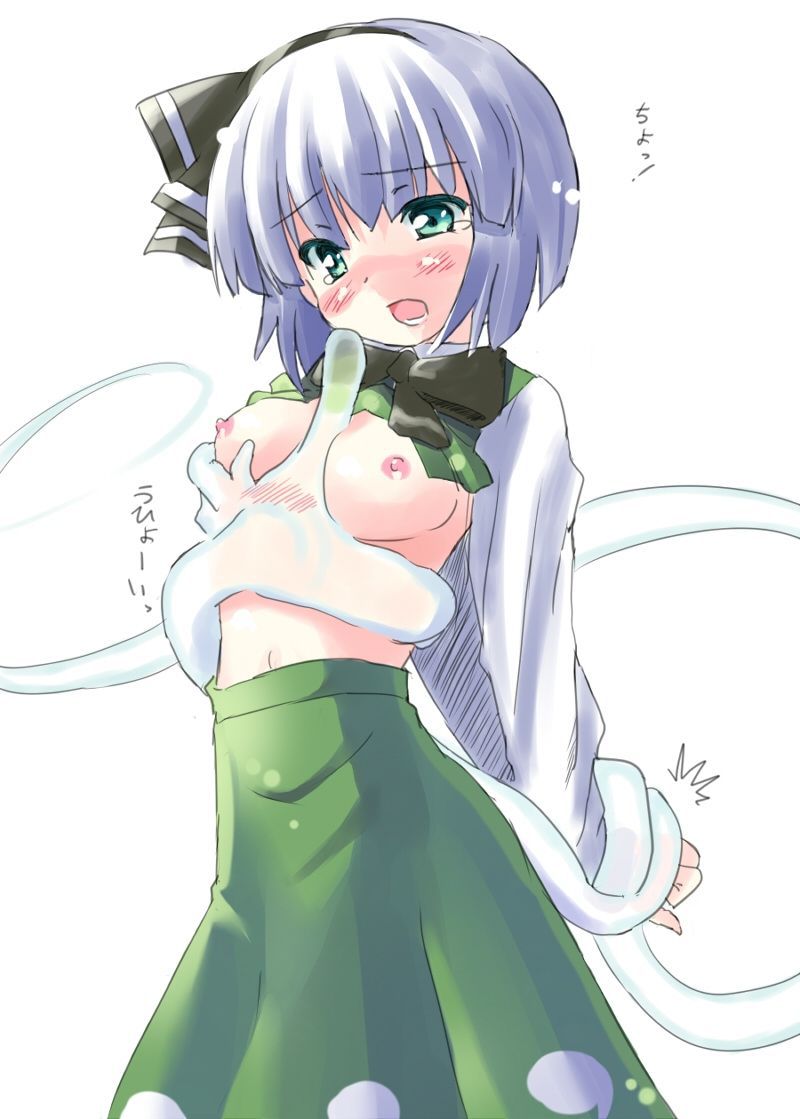 [Touhou Project: konpaku youmu secondary erotic images see blame! part6 [try NYO I] 12