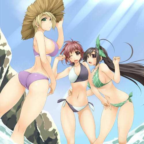 Please feel like summer swimsuit pictures 29