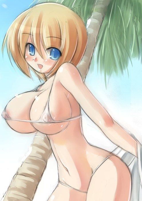 Please feel like summer swimsuit pictures 4