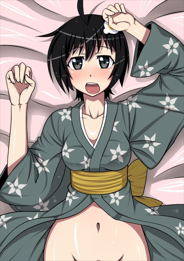 I got [bakemonogatari series araragi tsukihi lewd and obscene pictures! 14
