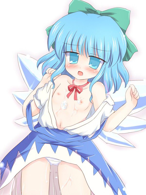 [East] cirno secondary erotic image 100 photos [touhou Project] 19