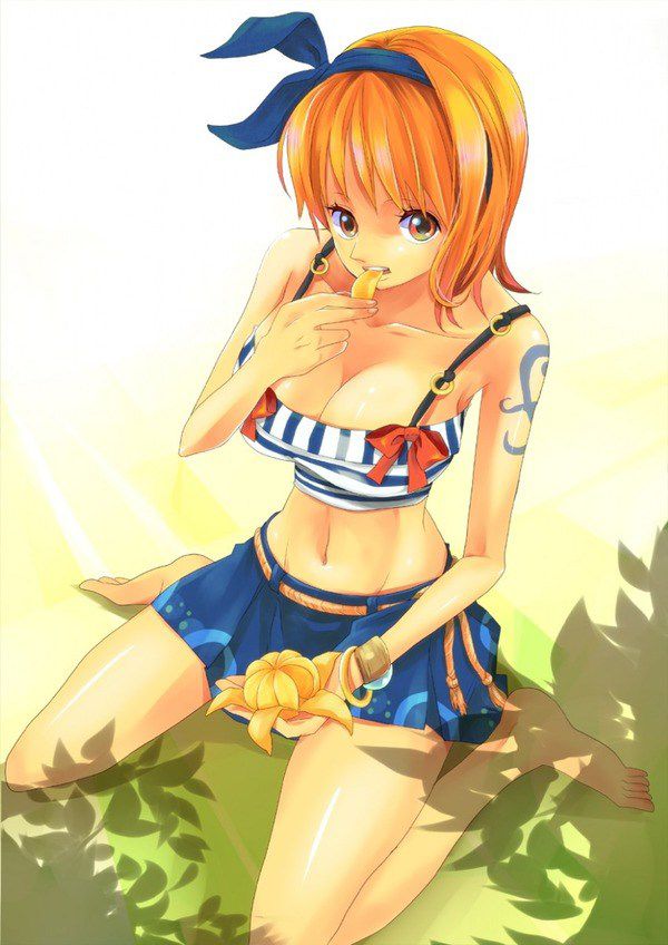 [One piece (ONE PIECE): NAMI hentai pictures Part2 11