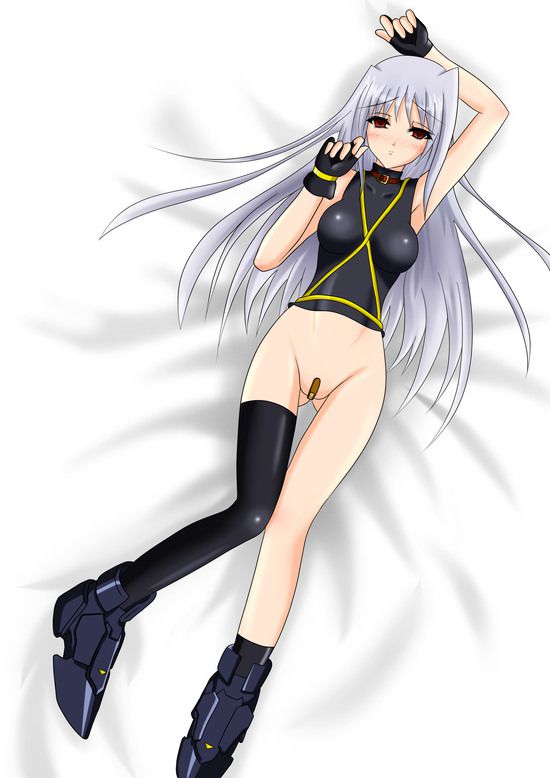 Reinforce (mahou shoujo Lyrical Nanoha) of MoE erotic 218 images 13