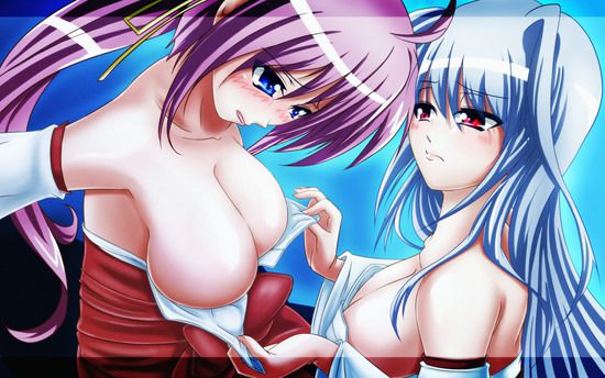 Reinforce (mahou shoujo Lyrical Nanoha) of MoE erotic 218 images 27