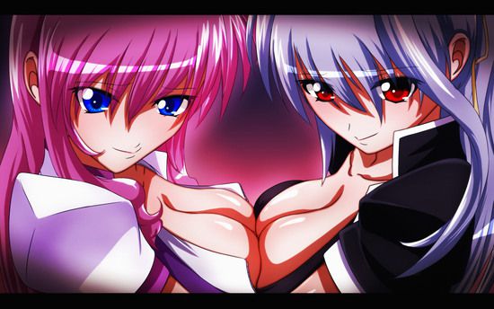 Reinforce (mahou shoujo Lyrical Nanoha) of MoE erotic 218 images 28