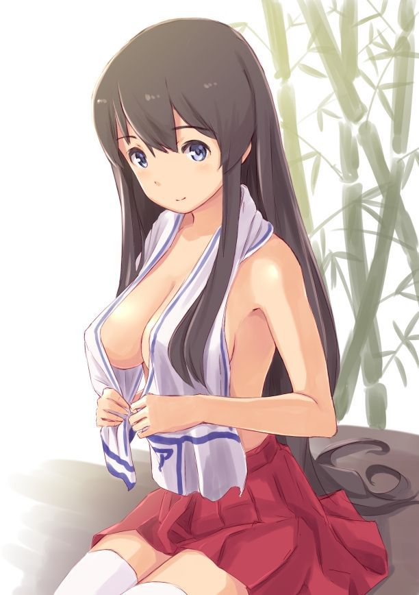 [Fleet abcdcollectionsabcdviewing]-Akagi's second erotic pictures 2