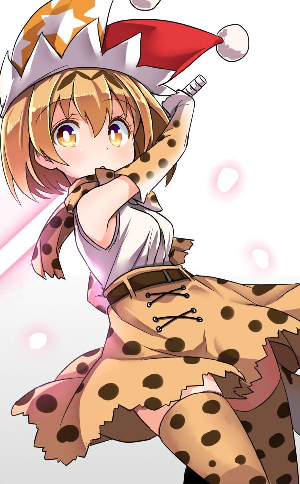 【Kemono Friends】Serval Inside Out Secondary Erotic Image Summary 10
