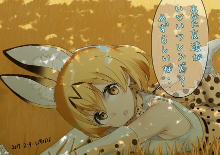 【Kemono Friends】Serval Inside Out Secondary Erotic Image Summary 11