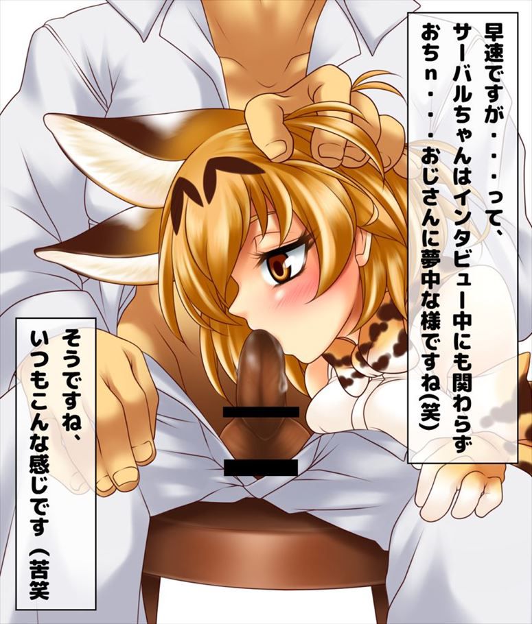 【Kemono Friends】Serval Inside Out Secondary Erotic Image Summary 15