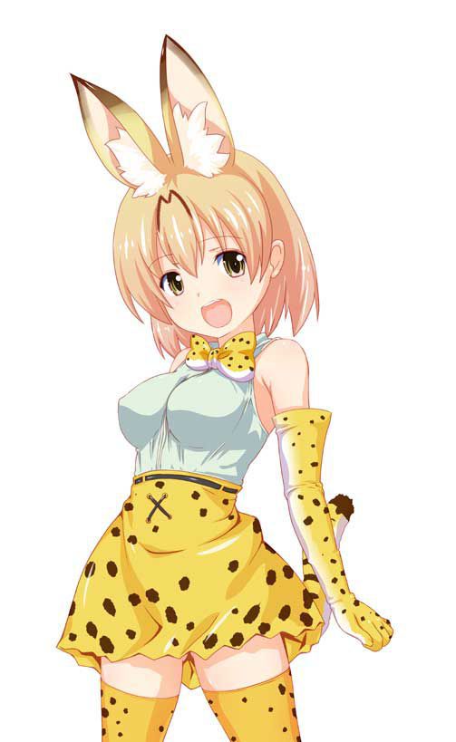 【Kemono Friends】Serval Inside Out Secondary Erotic Image Summary 19