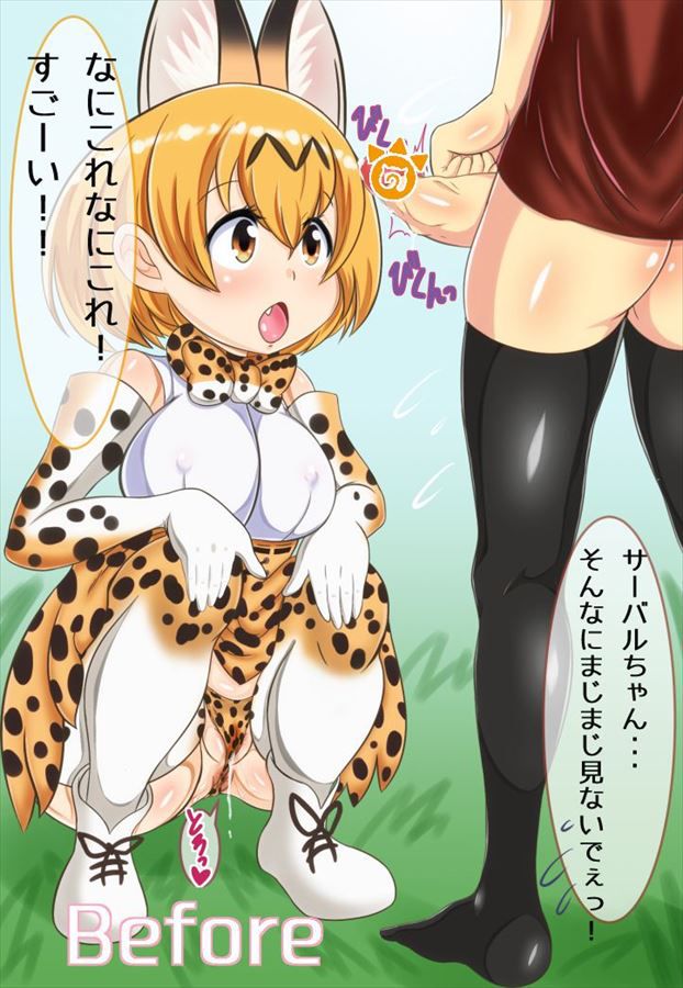 【Kemono Friends】Serval Inside Out Secondary Erotic Image Summary 5