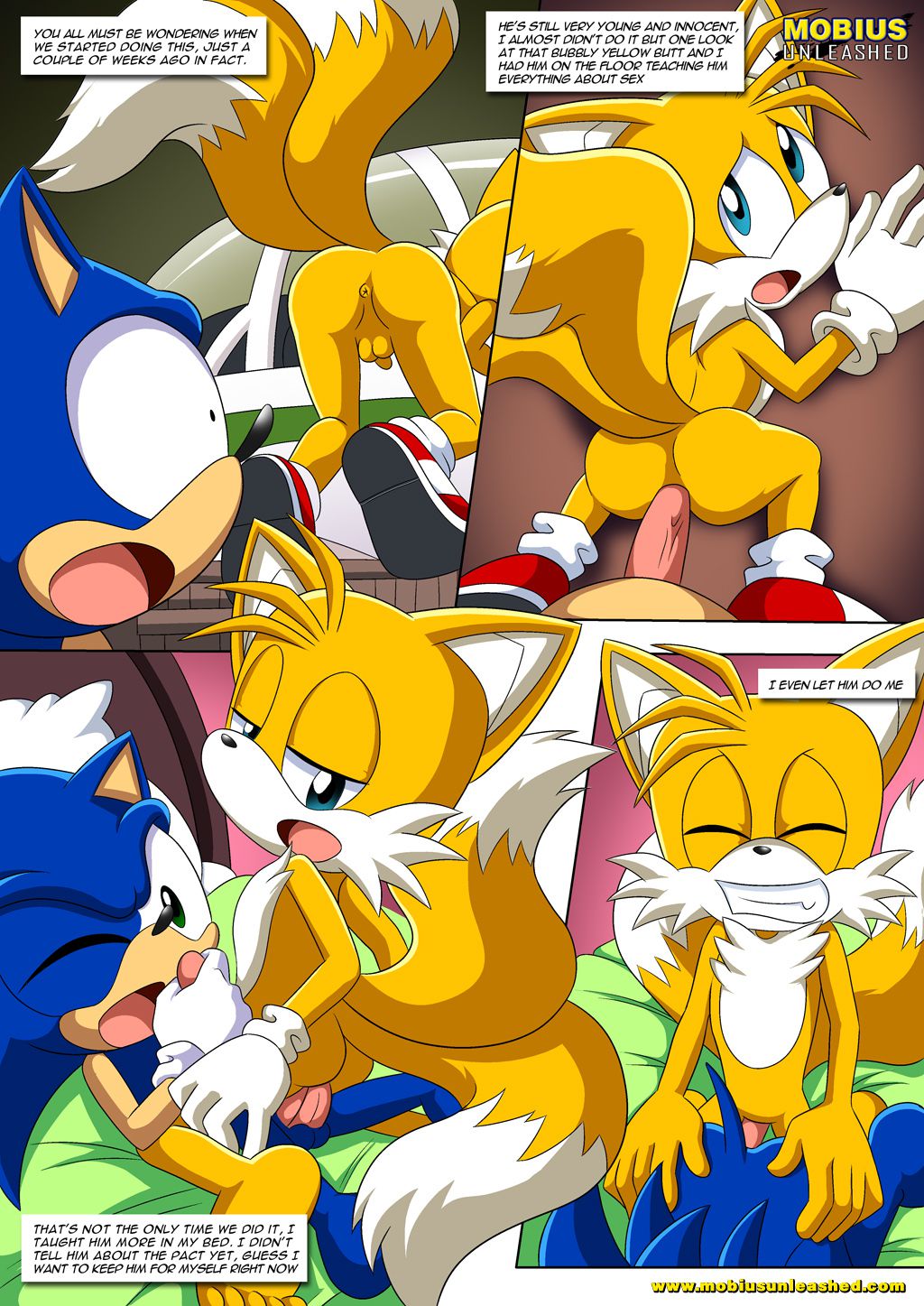 [Palcomix] The Pact 2 (Sonic The Hedgehog) [Ongoing] 3