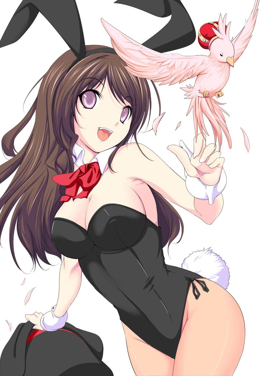 2-d CT be carefully rabbit ears and Bunny girl girl erotic picture 50 16