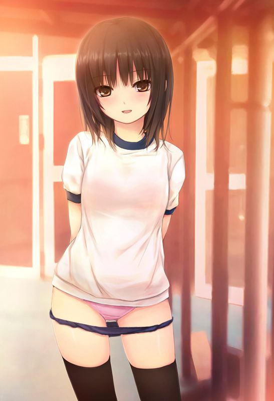Day 2-dimensional physical bloomers girl erotic picture 100 90