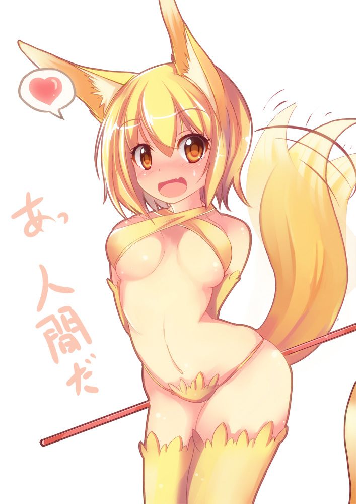 Secondary image of kemonomimi girl 7 50 sheets [erotic and non-erotic] 45