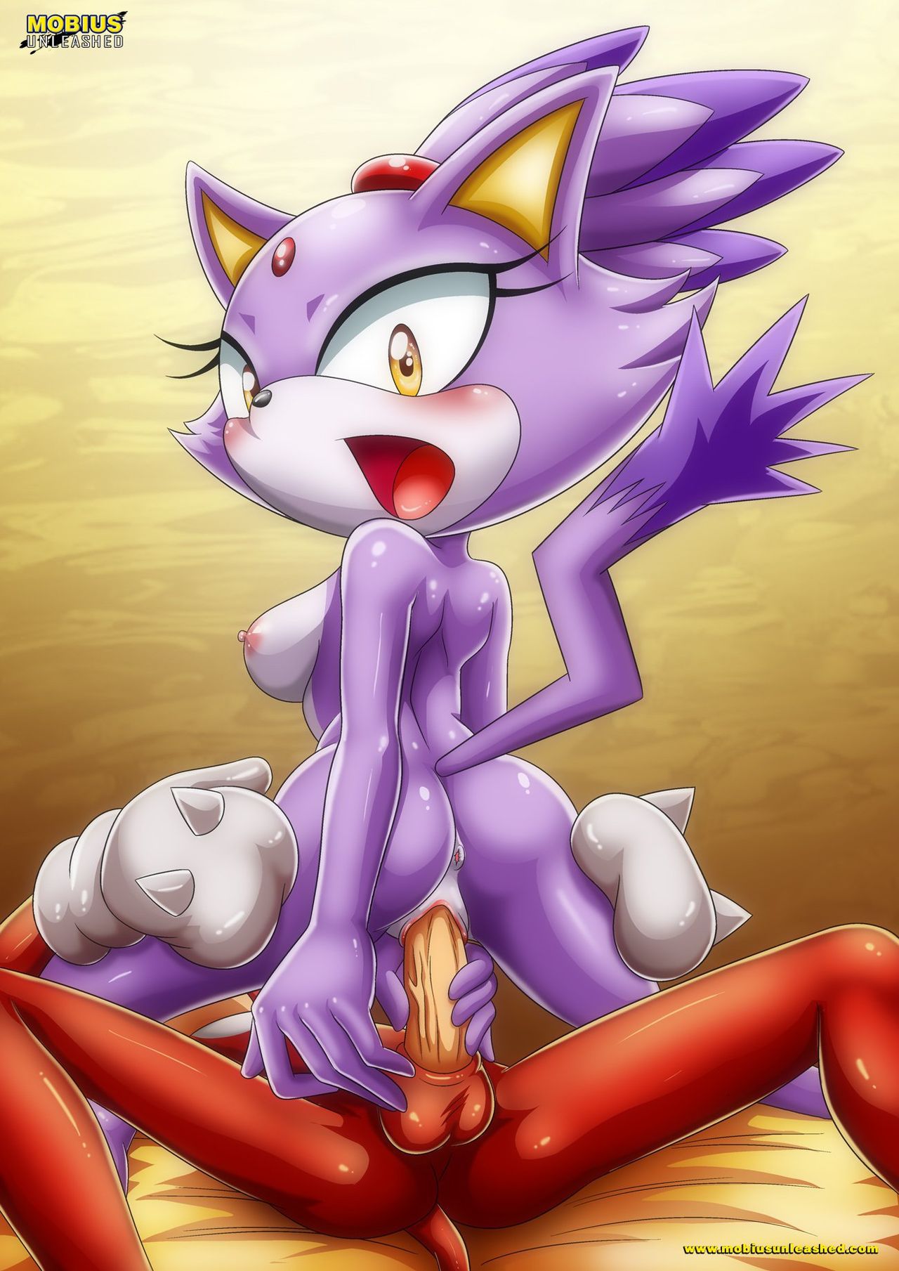 Mobius Unleashed: Blaze the Cat 110