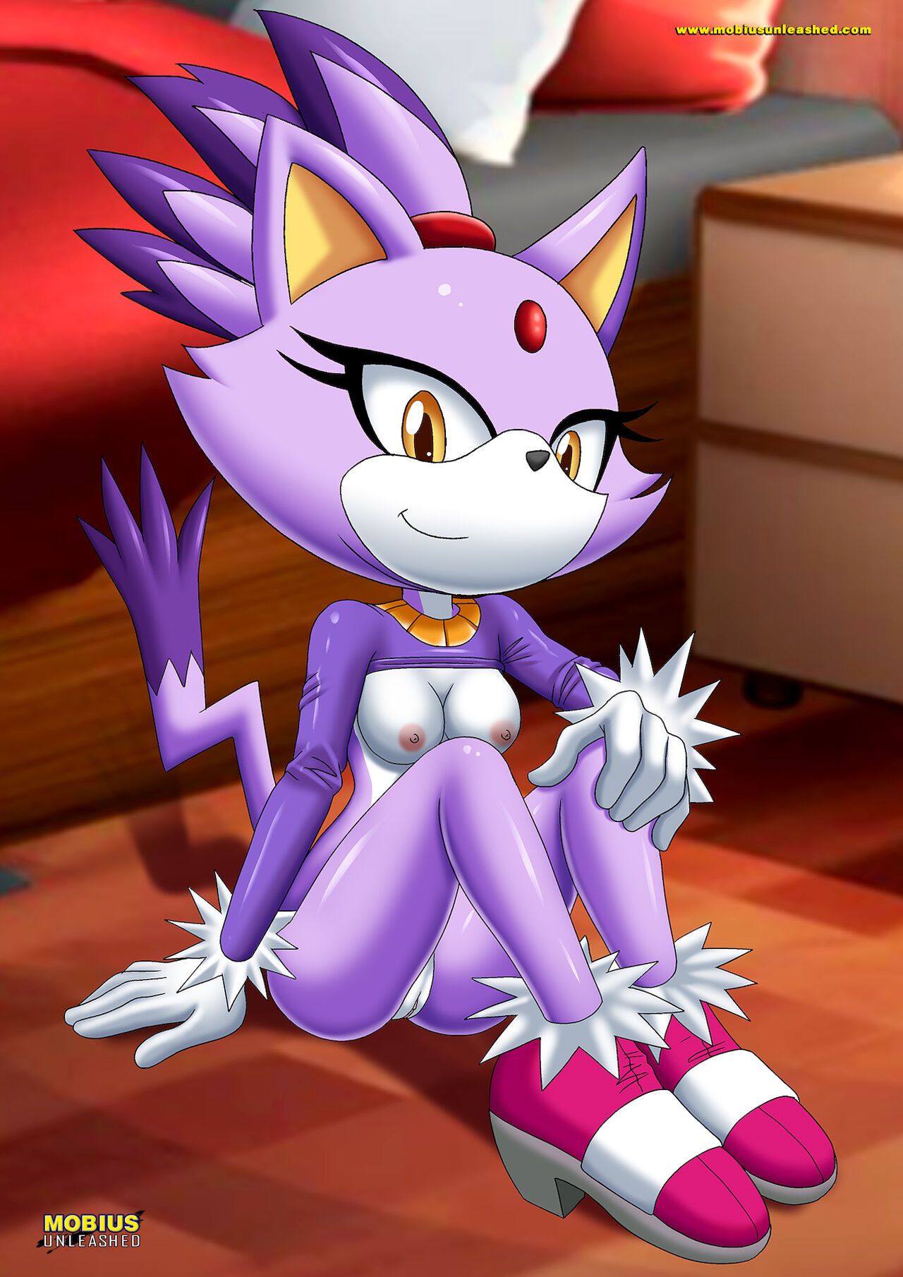 Mobius Unleashed: Blaze the Cat 14