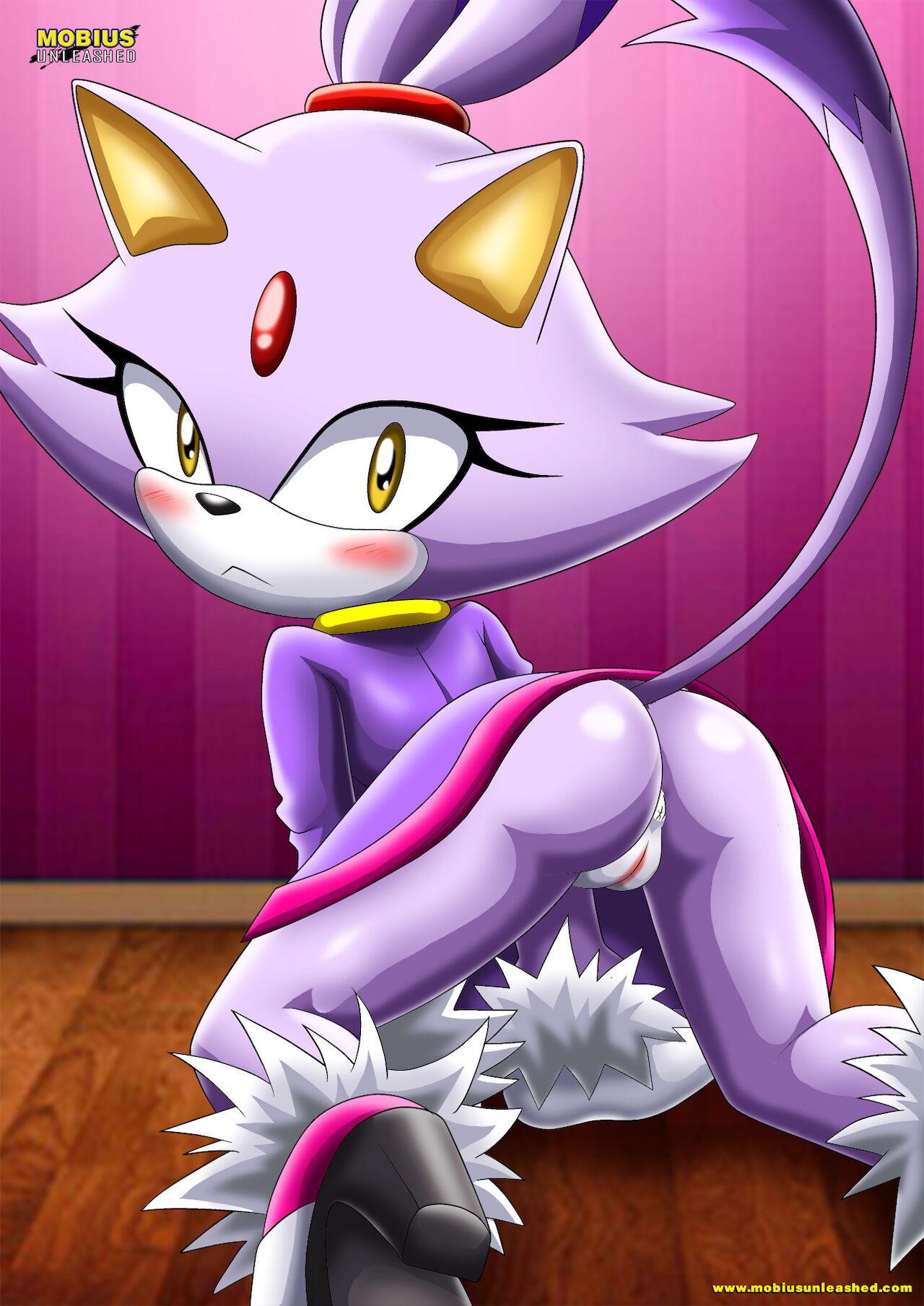 Mobius Unleashed: Blaze the Cat 2