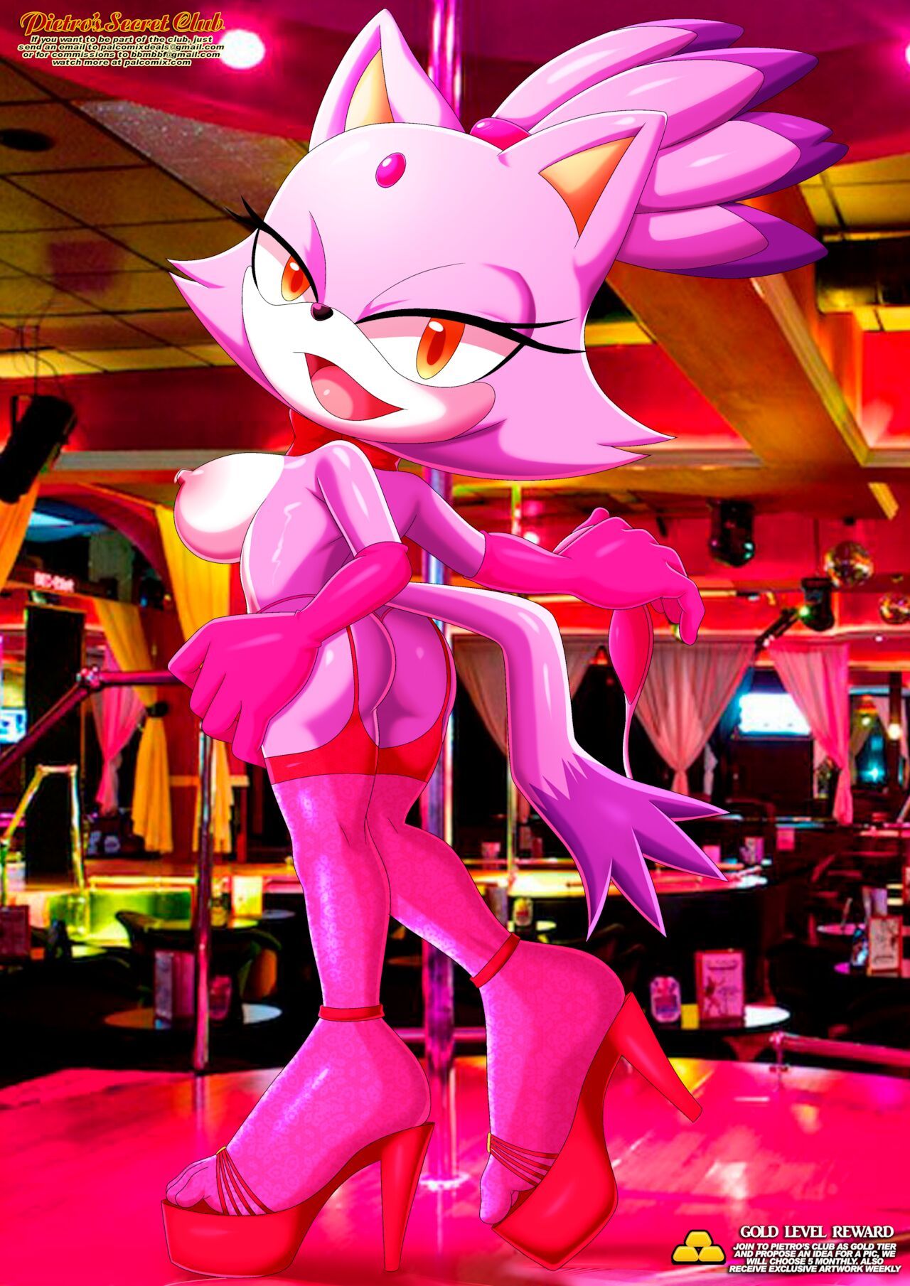 Mobius Unleashed: Blaze the Cat 28