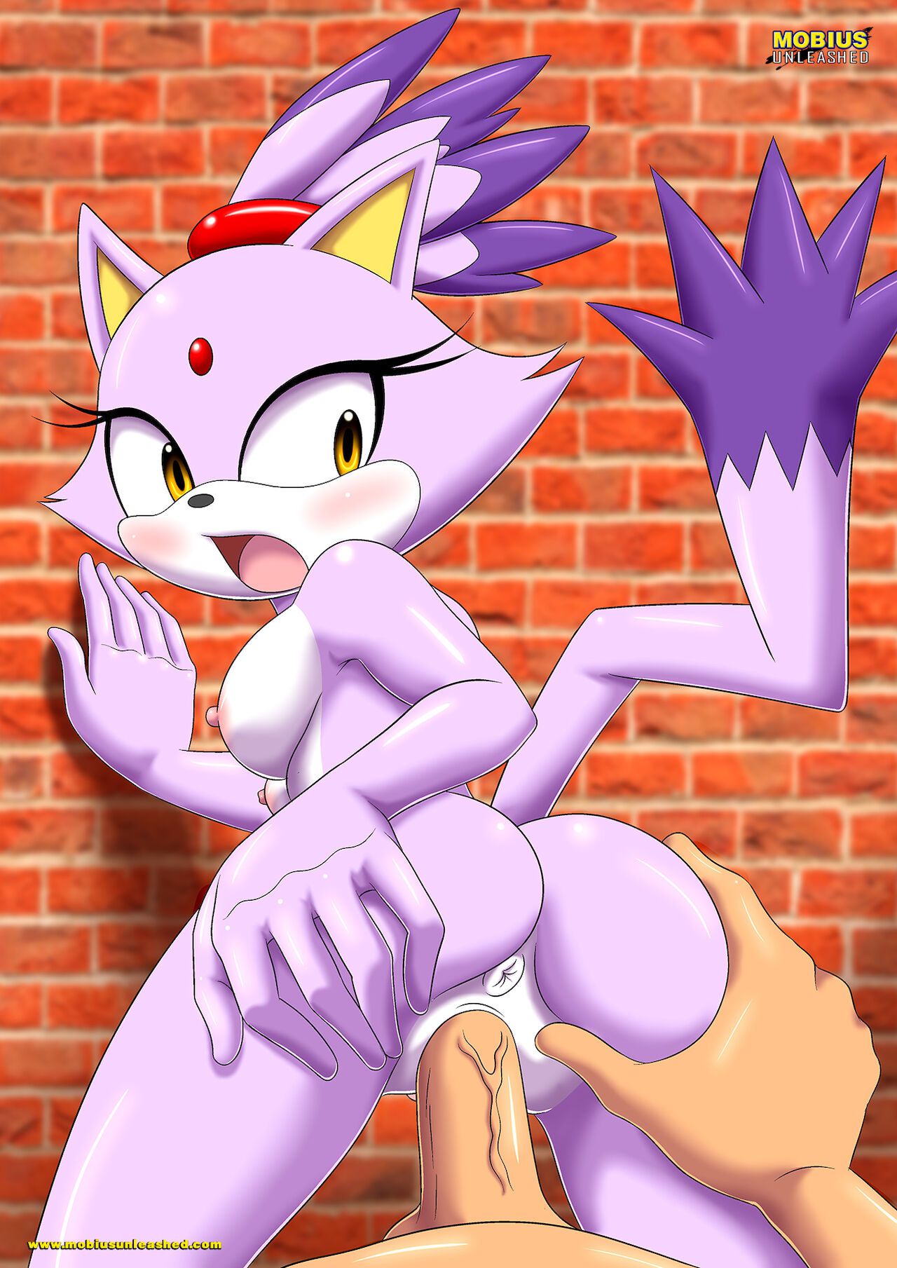 Mobius Unleashed: Blaze the Cat 56