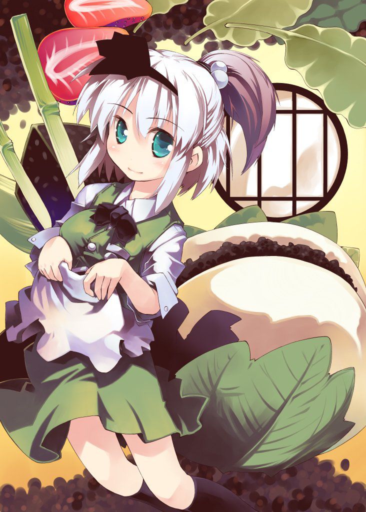 I collected various images of the touhou Project, sometimes no. Vol.10 39