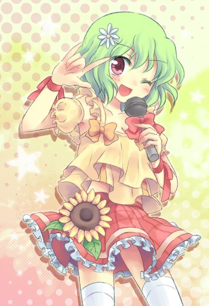 I collected various images of the touhou Project, sometimes no. Vol.1 36