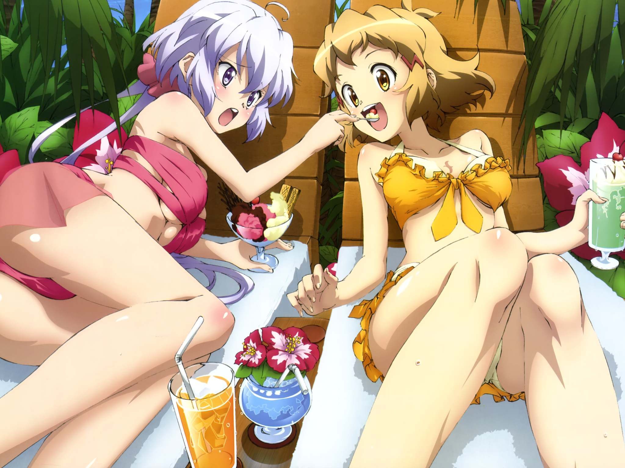 Pin-up images of swimsuit or bathing, the anime is too erotic vol.5 13