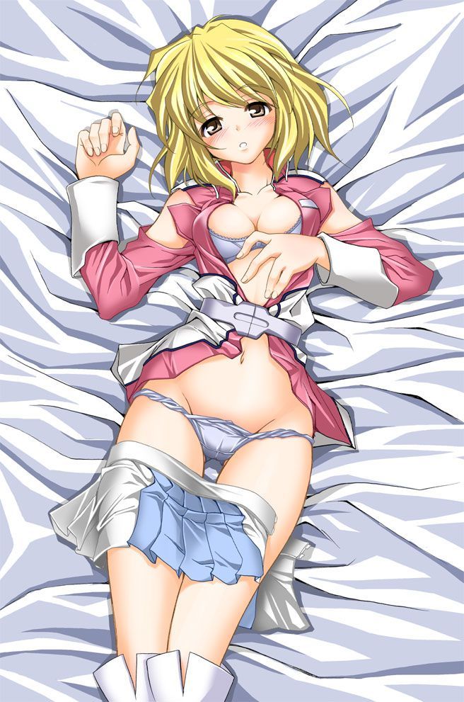 Erotic pictures of the Gundam SEED DESTINY stellar rouche-CHAN drew. 13