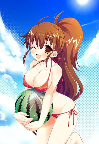 Of two-dimensional girls can enjoy body swimsuit picture vol.5 12