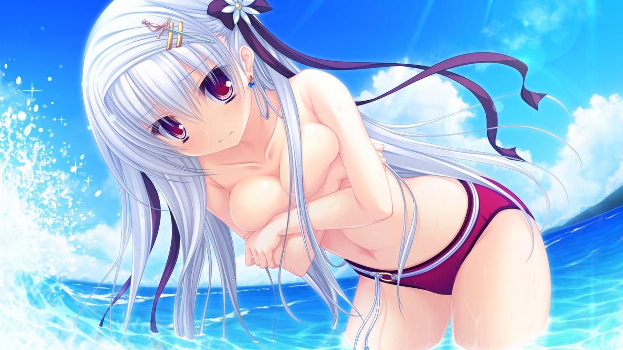 Of two-dimensional girls can enjoy body swimsuit picture vol.5 4