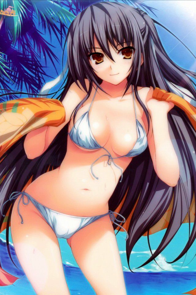 Of two-dimensional girls can enjoy body swimsuit picture vol.5 8