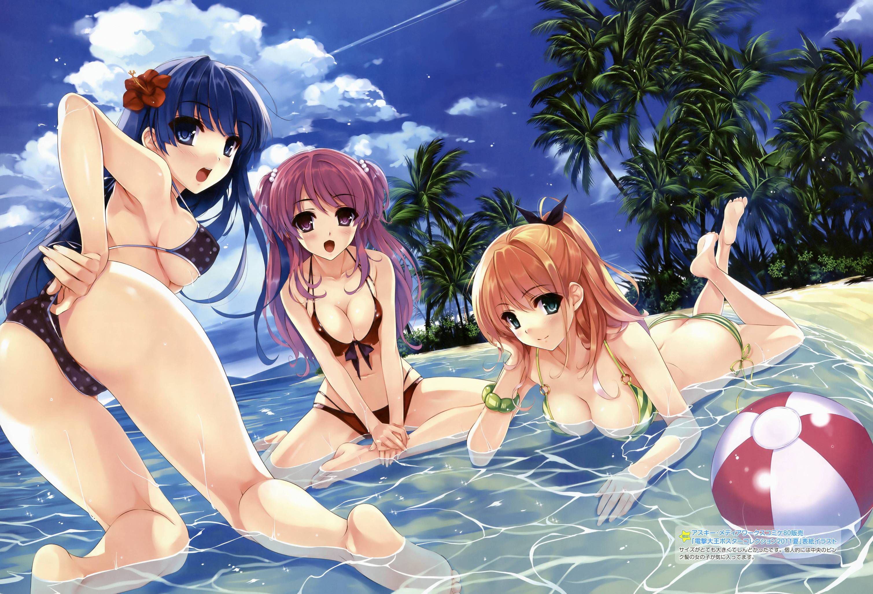 Refreshes the skin component for girl bikini pictures. Vol.10 1