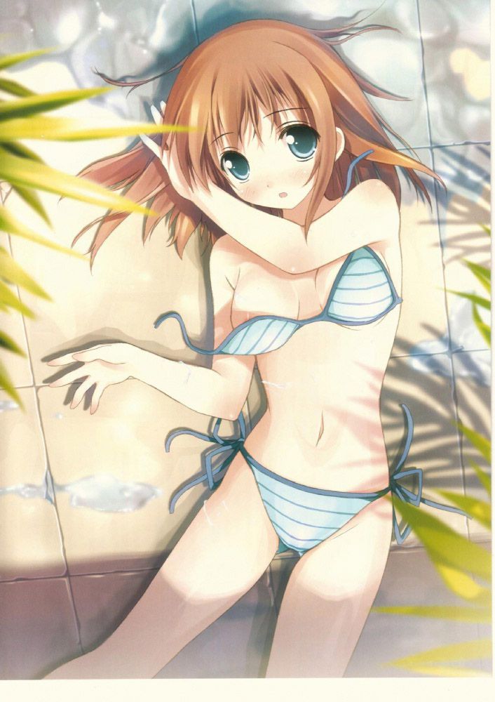 Refreshes the skin component for girl bikini pictures. Vol.10 6