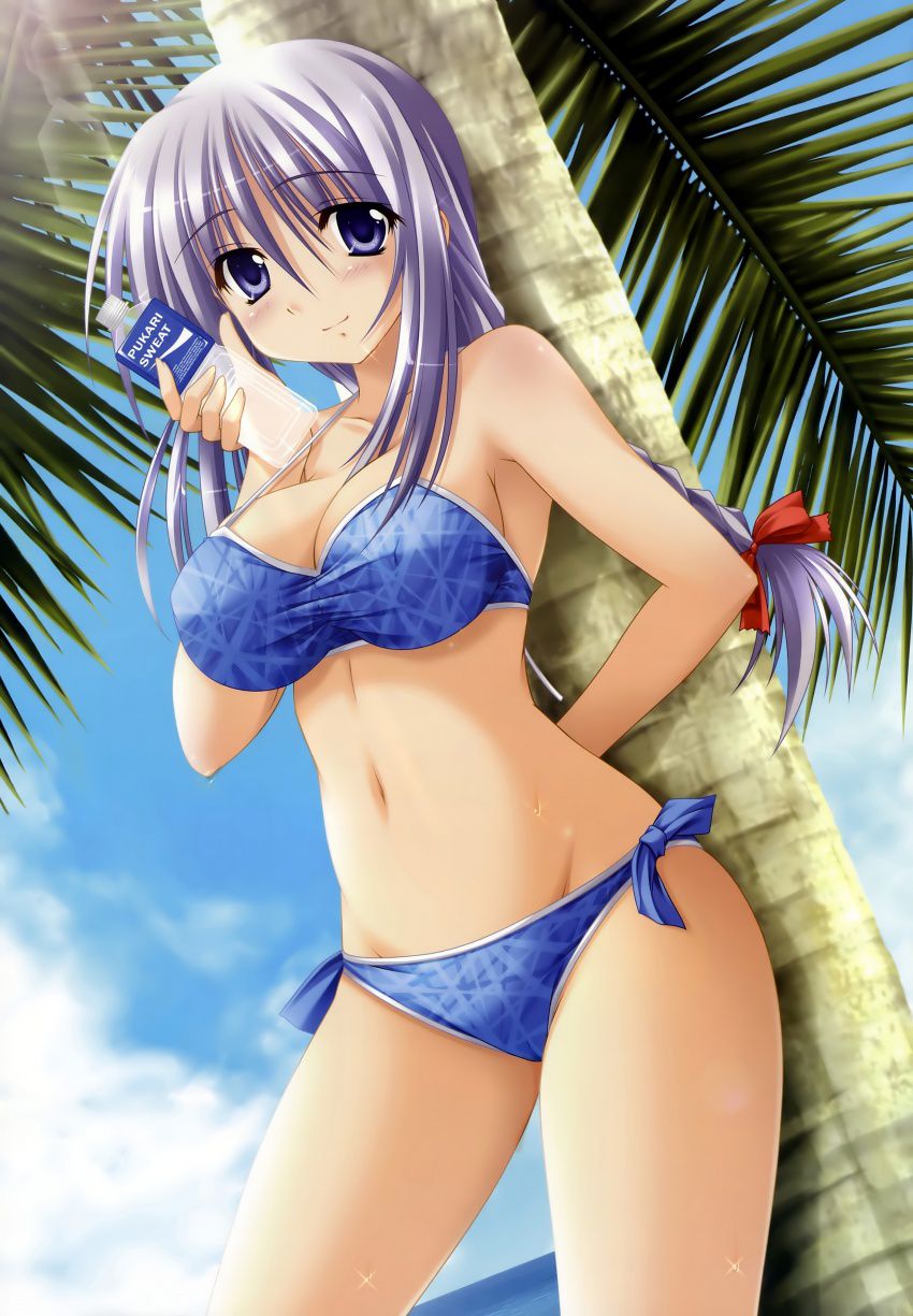 Refreshes the skin component for girl bikini pictures. Vol.10 9
