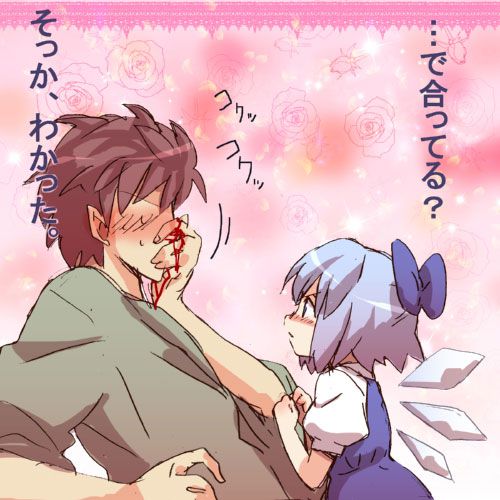 100 cutest 2D touhou characters cirno's erotic images 59