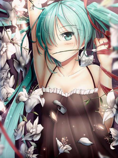 [Vocaloid] Erotic picture pt 8 [out] 18