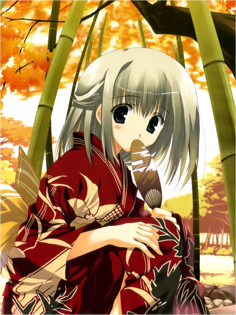 Kimono is Japan mind... Eros images 12 20