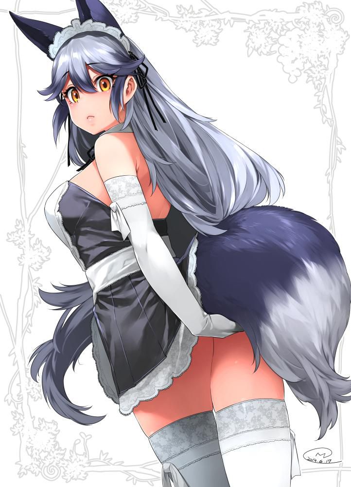 Kemono Friends - Silver Fox 149