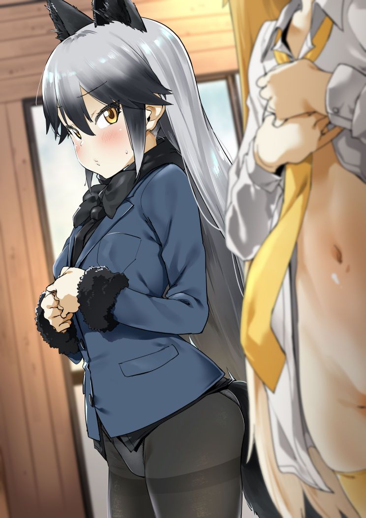 Kemono Friends - Silver Fox 190